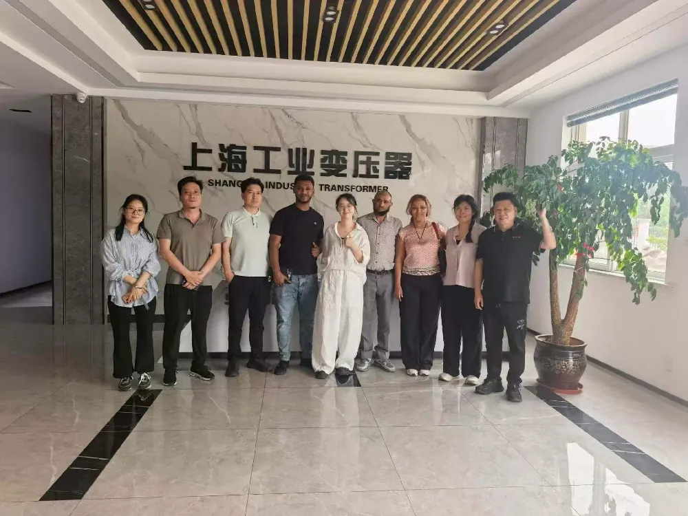 Lämpimästi Tervetuloa! Etiopian valtuuskunta vierailee Shanghai Industrial Transformer Co., Ltd.:ssä vaihtoakseen muuntajia ja sähkönjakelulaitteita